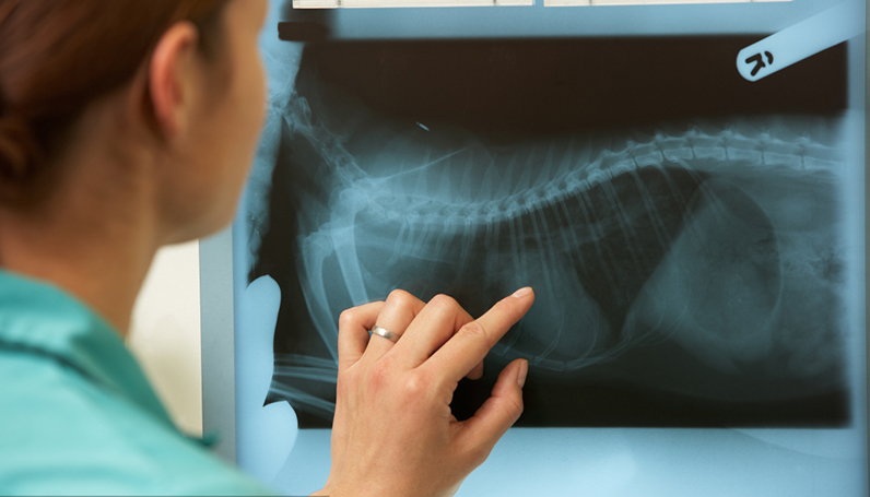 �Ƿ�����(�й���)-�ٷ���վ